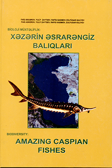 Bioloji müxtəliflik: Xəzərin əsrarəngiz balıqları