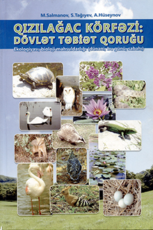 Qızılağac körfəzi - Dövlət Təbiət Qoruğu: ekologiyası, bioloji məhsuldarlığı, dünəni, bu günü və sabahı 