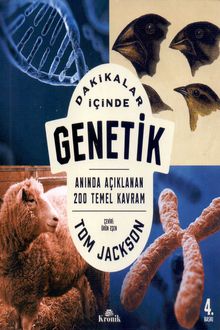 Dakikalar İçinde
