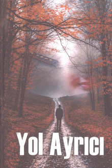 Yol ayrıcı