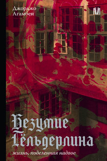 Безумие Гёльдерлина