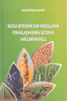 Buğda bitkisinin dən məhsulunun formalaşmasında becərmə amillərinin rolu