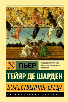 Божественная среда