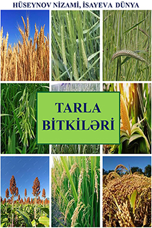 Tarla bitkiləri