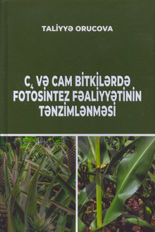 C4 və CAM bitkilərdə fotosintez fəaliyyətinin tənzimlənməsi