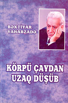 K&ouml;rp&uuml; &ccedil;aydan uzaq d&uuml;ş&uuml;b