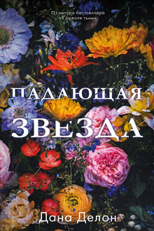 Падающая Звезда