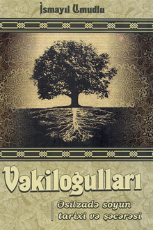 Vəkiloğulları: əsilzadə soyun tarixi və şəcərəsi