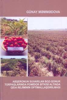 Abşeronun suvarılan boz-qonur torpaqlarında pomidor bitkisi altında qida rejiminin optimallaşdırılması