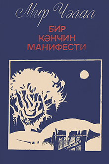 Bir gəncin manifesti