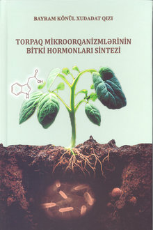 Torpaq mikroorqanizmlərinin bitki hormonları sintezi