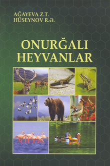 Onurğalı heyvanlar