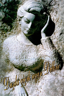 Daşda &ccedil;i&ccedil;ək a&ccedil;an Dilbər